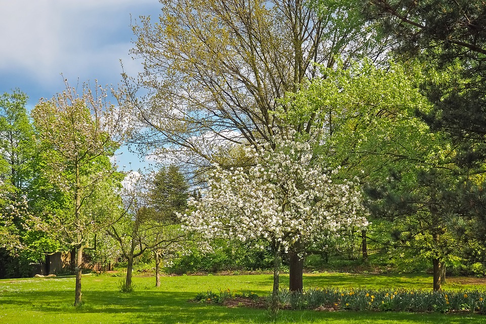 Florece con branding: regalos publicitarios en primavera